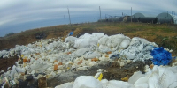 В Амурской области на сельхозземле со свалкой нашли опасных паразитов - Amur.Life