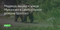 Поделитья во ВКонтакте - Братская Студия Телевидения