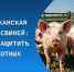 Фото сгенерировано ИИ. - Каргапольский муниципальный округ