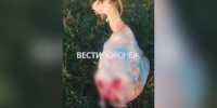 Стая бездомных собак разорвала трёх коз в воронежском селе Круглое - ГТРК Воронеж