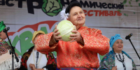 Капустное веселье продолжится! Красноармейский округ ждёт фестиваль - Газета Маяк