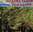 В Красногорском районе прошел XV Медово-сырный фестиваль - Законодательное Собрание