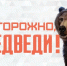 Памятка: Правила поведения при встрече с медведем. - Северо-Енисейский муниципальный округ