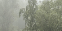 Один день тепла, затем неустойчивость: когда в Татарстане наладится погода? - ТРК Татарстан-Новый век