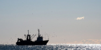 Два российских моряка умерли на судне в Китае при неизвестных обстоятельствах - M24.Ru