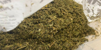 В Муроме мать и дочь посеяли коноплю и высушили более 18 кг марихуаны - Владимирские Ведомости