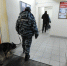 Ростовчанин сделал прописки 12 нелегалам - Комсомольская правда