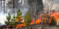 В районах рядом с Волгодонском 19 августа объявили чрезвычайную пожароопасность - DonDay-Volgodonsk.Ru