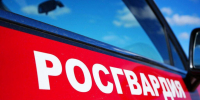 Росгвардейцы задержали подозреваемых в краже из сетевых магазинов в Подмосковье - Газета Видновские Вести