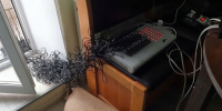JPEG Файл - УМВД Новгородской области