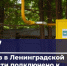 За неделю газ пришел еще в 367 домов Ленобласти - Online47.Ru