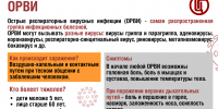 ORVI-1.png - ВОПБ
