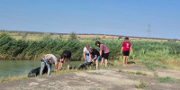Более 10 тыс. ставропольцев вышли на уборку берегов в этом году - ATVmedia.Ru