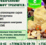 Вакансии: ООО СЗ "Сармич" - Info-Rm.Com