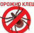 273 саровчанина пострадали от клещей с апреля - Саров24