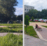 В Рязани после обращения депутата покосили траву в сквере «Солнечный круг» - ИА Малая Родина
