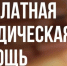 Главное управление Минюста России по Нижегородской области проводит День бесплатной юридической помощи. - Большеболдинский муниципальный округ