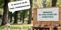 Приют «Кирюшка» подготовил для вас 12 замечательных питомцев - Комитет ветеринарии