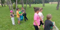 Разноцветное лето в городском парке! 0 - Полысаевская ЦБС