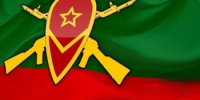 Поздравление временно исполняющего обязанности главы Администрации ЗАТО Межгорье Республики Башкортостан И.К. Петровой с Днем мотострелковых войск! - Город Межгорье