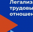 С начала 2026 года более 8,0 тыс. жителей Чувашской Республики легализовали свои трудовые отношения - Министерство труда и соцзащиты