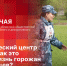 «Беседка»: Как кинологический центр изменит жизнь псковичей и их питомцев? - Pln-Pskov.Ru