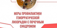 Напоминаем о  мерах профилактики  геморрагической лихорадки с почечным синдромом.. - Новоузенский район