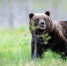 Фото: Piotr Krzeslak/Shutterstock/Fotodom - Ямал-Медиа