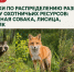 Жеребьёвки по распределению разрешений на добычу енотовидной собаки, лисицы и зайца-беляка состоятся 20 августа - Госохотдепартамент Тюменской области