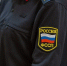 Судебные приставы Подмосковья оштрафовали банк за назойливые звонки должнику - Вести Подмосковья