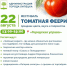 Липчан приглашают на фестиваль «Томатная феерия» - Город Липецк