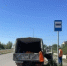 От спиленного дерева до новой остановки: как в Оренбурге реагируют на сигналы жителей - Yuzh-Ural.Ru