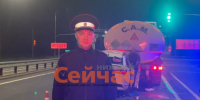 Четыре человека пострадали в ДТП под Арзамасом ночью 19 августа - ИА Нижний сейчас