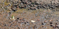 Улицу Народных Ополченцев затопило после масштабного отключения воды в Воронеже - ГТРК Воронеж