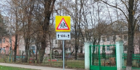 В Орле МЧС избавило детсад от ос - OrelGrad.Ru