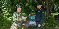 Нацпроект «Экологическое благополучие»: леса Чувашии под контролем лесных инспекторов - Министерство природных ресурсов и экологии