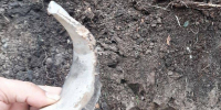 Более сотни смертоносных дронов уничтожили в небе над Брянщиной 18 августа - ИА Наш Брянск.ru