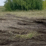 Несанкционированную свалку убрали в Красногорском районе Алтайского края - Комсомольская Правда