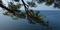 Какая температура Черного моря на пляжах в Краснодарском крае - Кубанские Новости