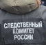 Тверским СК заведено уголовное дело по факту избиения подростка в Твери - Афанасий-биржа