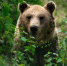 Фото: VOJTa Herout/Shutterstock/Fotodom - Ямал-Медиа