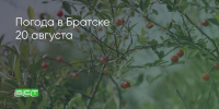 Поделитья во ВКонтакте - Братская Студия Телевидения