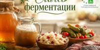 Кефир, капуста и… ботулизм? Честно о ферментированных продуктах - Городская больница