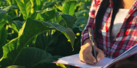 «Школа фермера» в Иланско-Нижнеингашском округе: бесплатное обучение. - Нижнеингашский район