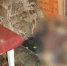 В Собинском районе мужчина избавился от своего знакомого во время застолья - PRO Город Владимир