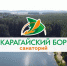 На фото — панорамный вид на санаторий «Карагайский Бор»: на переднем плане — водоём и густой хвойный лес, в центре — логотип и название учреждения, на горизонте — очертания холмов и построек. - Коркинский муниципальный округ