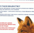 Бешенство: как распознать угрозу и защитить себя и питомца - Рузский городской округ