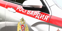 Сотрудники вневедомственной охраны Росгвардии пресекли хулиганство в одном из банков города Мурманска - Росгвардия