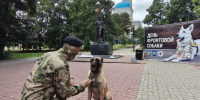 В Курске отметили День фронтовой собаки - Курская правда