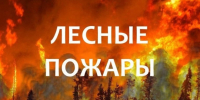 Лесной пожар №48 обнаружен 19.08.2026г в 14:44  21 км от п. Брянка, S-3 Га. Брянковское  лесничество, угрозы н.п нет. .. - Северо-Енисейский муниципальный округ